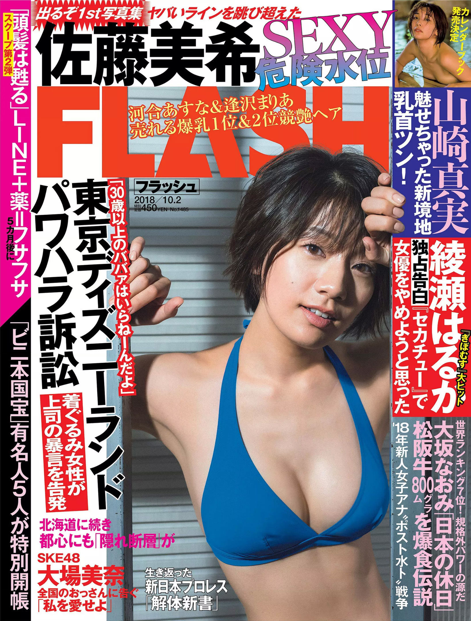 [FLASH]杂志:佐藤美希无水印写真作品免费在线(23P)